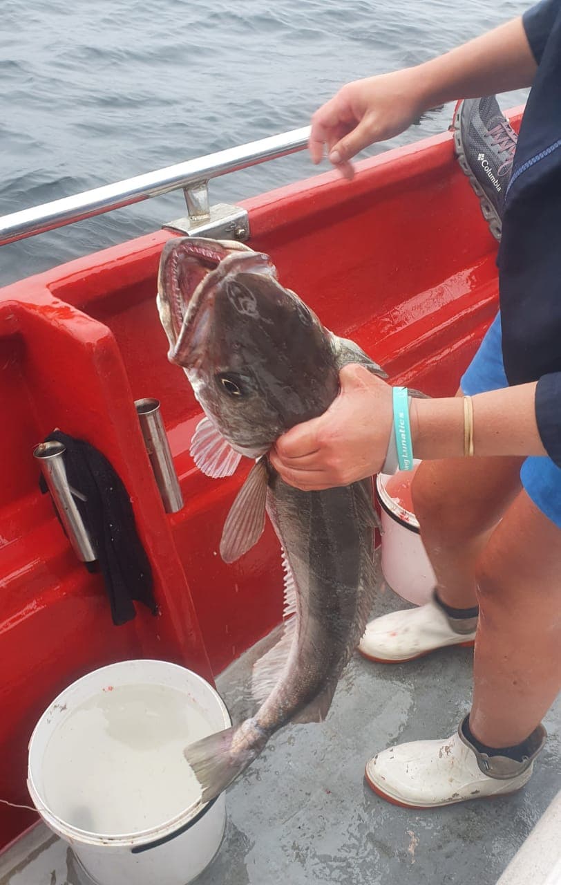 Wave Dancer Deep Sea Fishing Experience – Knysna — photo 5