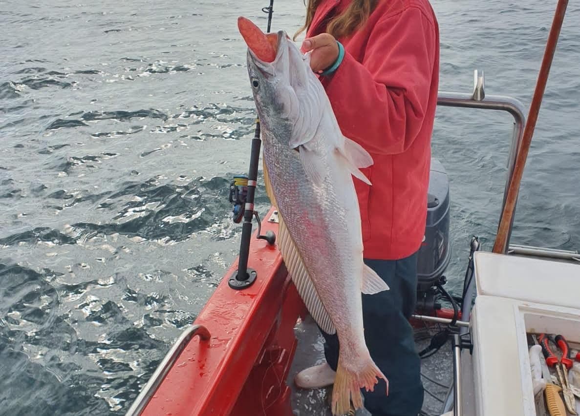 Wave Dancer Deep Sea Fishing Experience – Knysna — photo 3