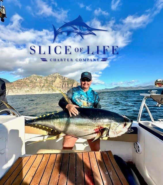 Hout Bay Tuna Adventure – Full Day, Fully Equipped, Your Catch to Keep — photo 2