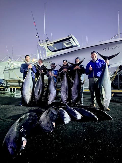 Hout Bay Tuna Adventure – Full Day, Fully Equipped, Your Catch to Keep — photo 22