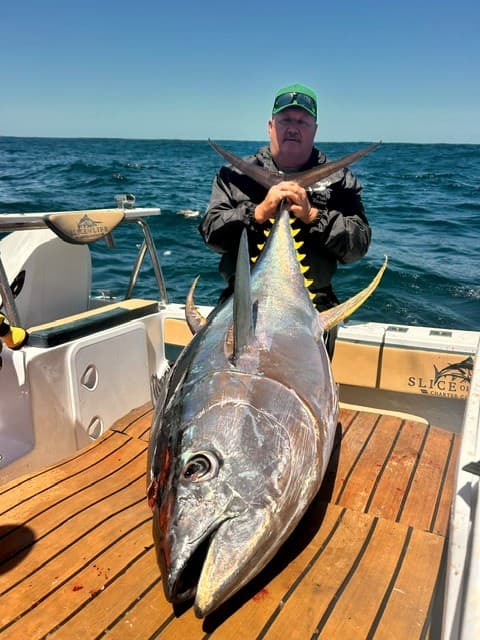 Hout Bay Tuna Adventure – Full Day, Fully Equipped, Your Catch to Keep — photo 7