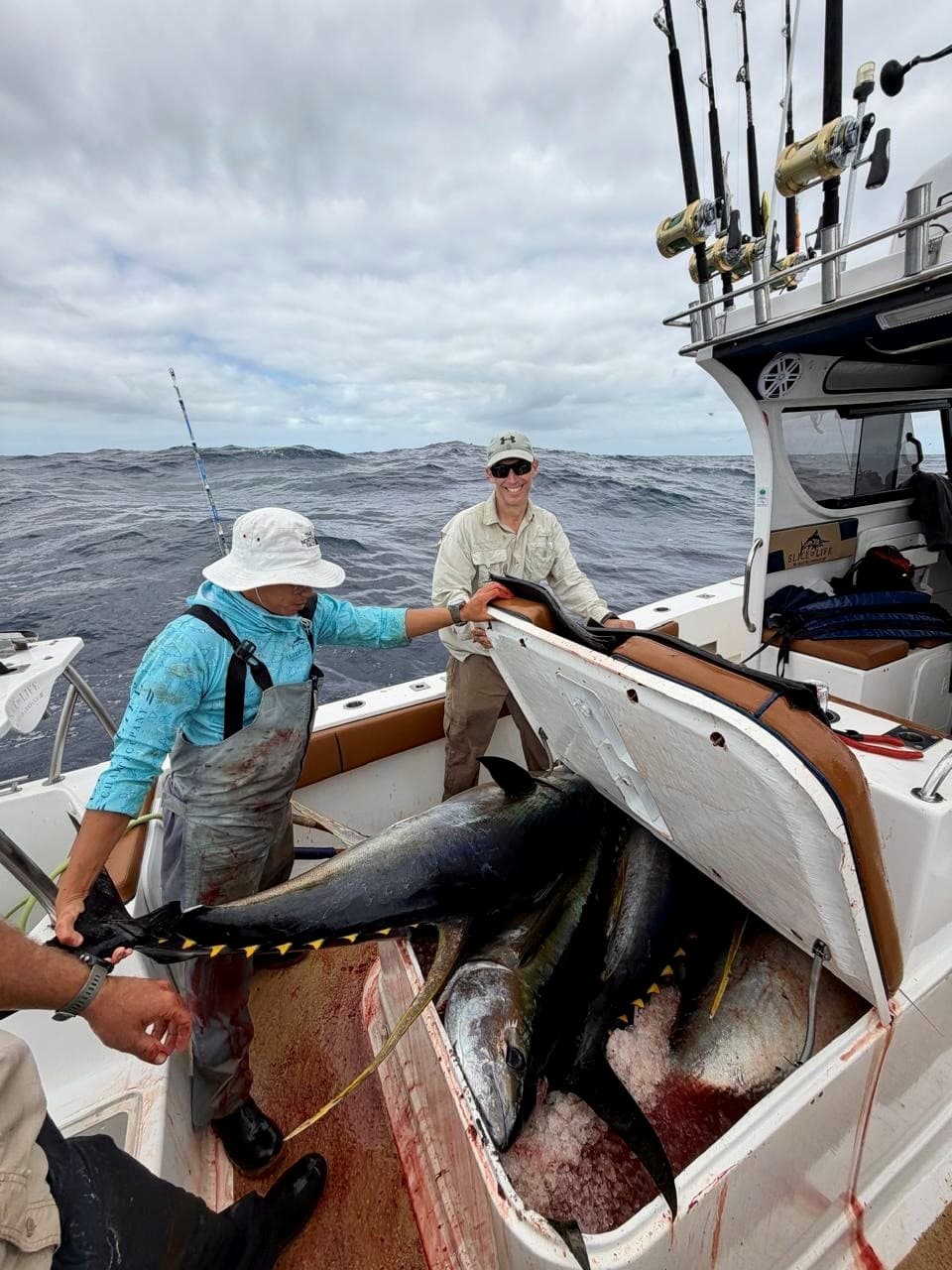 Hout Bay Tuna Adventure – Full Day, Fully Equipped, Your Catch to Keep — photo 13