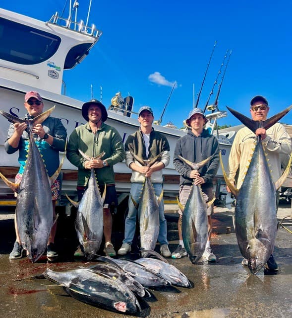 Hout Bay Tuna Adventure – Full Day, Fully Equipped, Your Catch to Keep — photo 8