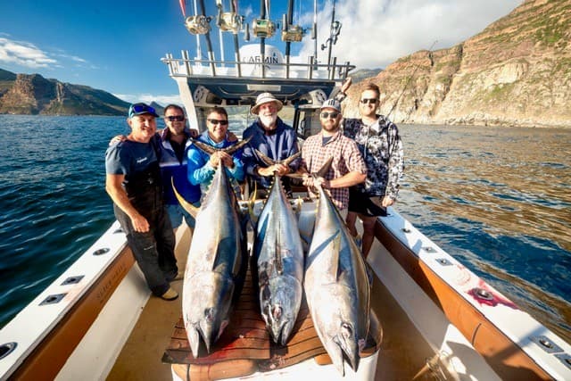 Hout Bay Tuna Adventure – Full Day, Fully Equipped, Your Catch to Keep — photo 12