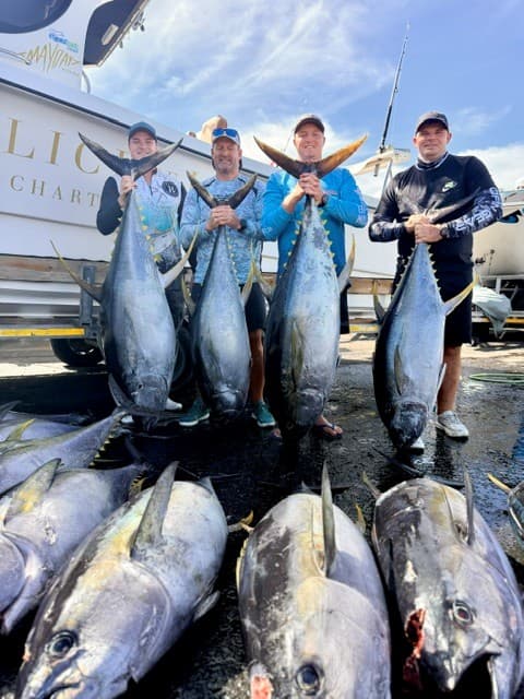 Hout Bay Tuna Adventure – Full Day, Fully Equipped, Your Catch to Keep — photo 16