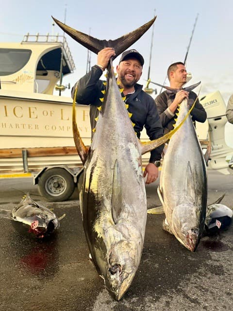 Hout Bay Tuna Adventure – Full Day, Fully Equipped, Your Catch to Keep — photo 21