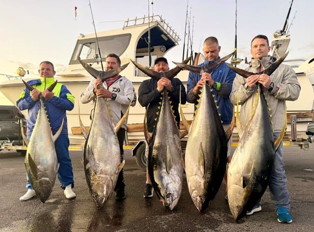 Hout Bay Tuna Adventure – Full Day, Fully Equipped, Your Catch to Keep — photo 20