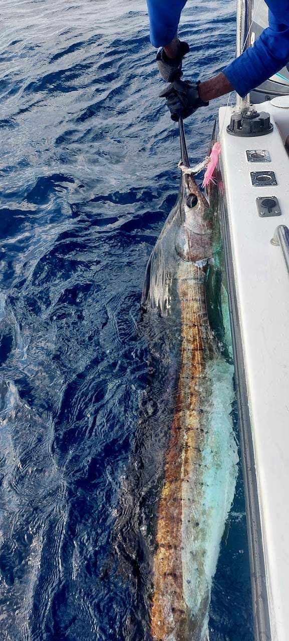 Half-Day Deep Sea Fishing Charter – Ponta do Ouro, Mozambique — photo 7